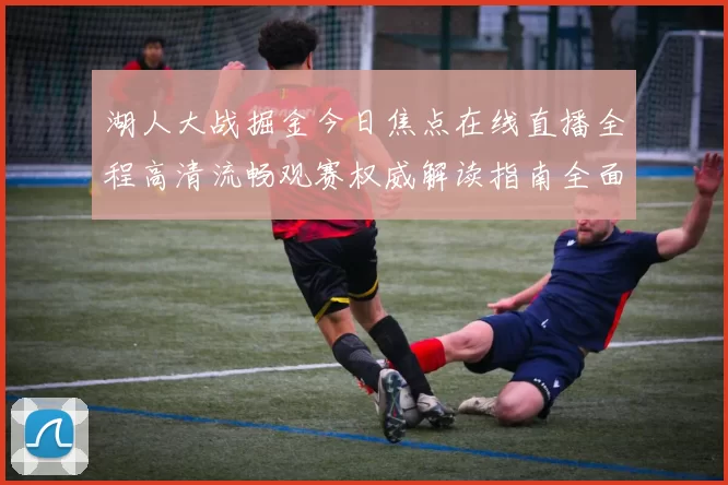 湖人大战掘金今日焦点在线直播全程高清流畅观赛权威解读指南全面