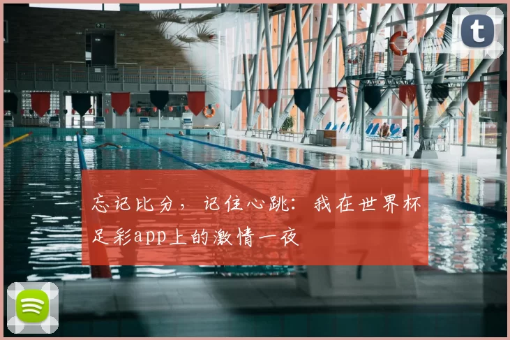 忘记比分,记住心跳:我在世界杯足彩app上的激情一夜
