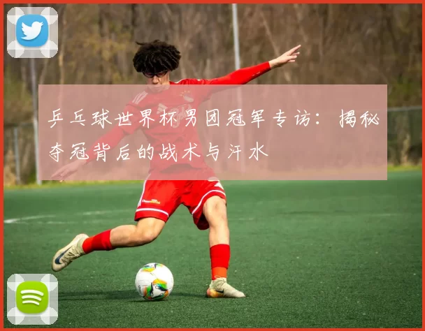 乒乓球世界杯男团冠军专访:揭秘夺冠背后的战术与汗水
