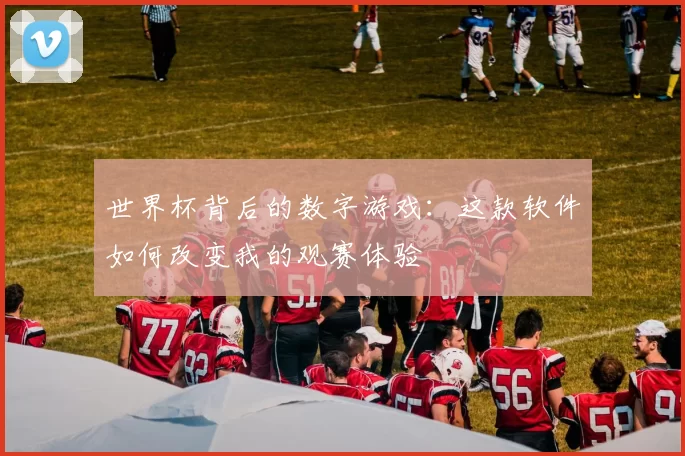 世界杯背后的数字游戏：这款软件如何改变我的观赛体验