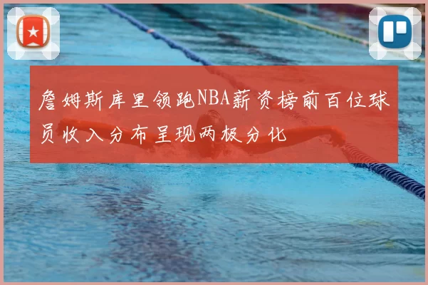 詹姆斯库里领跑NBA薪资榜前百位球员收入分布呈现两极分化