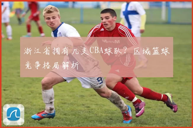 浙江省拥有几支CBA球队？区域篮球竞争格局解析
