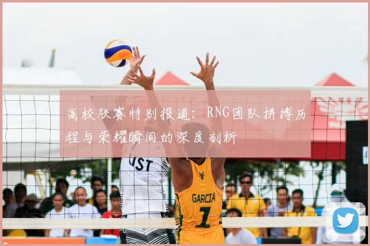 高校联赛特别报道：RNG团队拼搏历程与荣耀瞬间的深度剖析