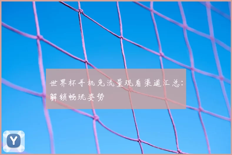 世界杯手机免流量观看渠道汇总：解锁畅玩姿势