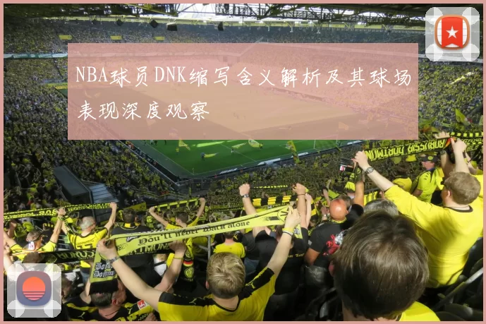 NBA球员DNK缩写含义解析及其球场表现深度观察