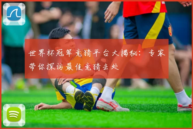 世界杯冠军竞猜平台大揭秘：专家带你探访最佳竞猜去处