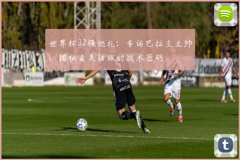 世界杯32强巡礼：专访巴拉圭主帅，揭秘南美劲旅的战术密码