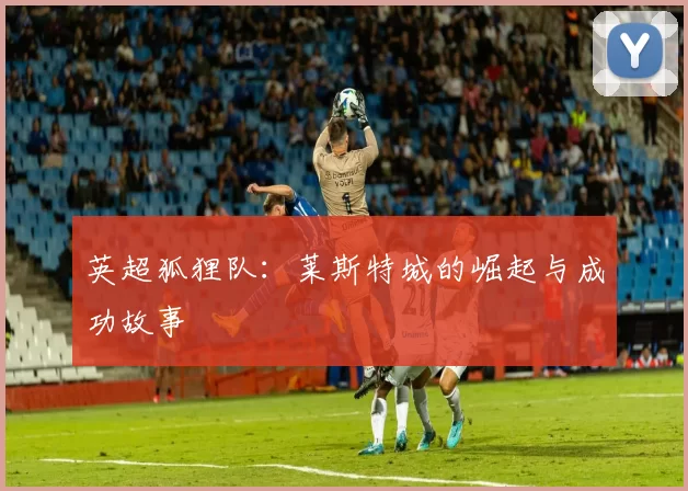 英超狐狸队：莱斯特城的崛起与成功故事