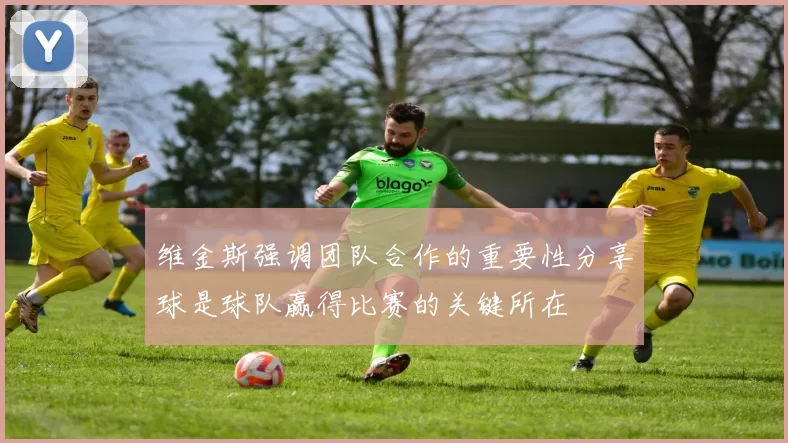 维金斯强调团队合作的重要性分享球是球队赢得比赛的关键所在
