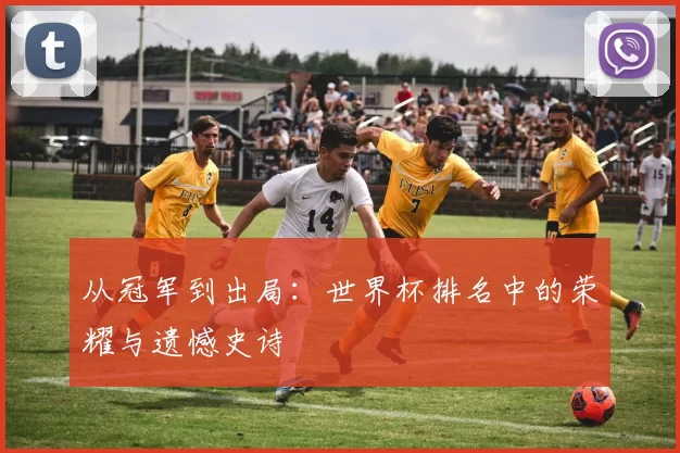 从冠军到出局：世界杯排名中的荣耀与遗憾史诗