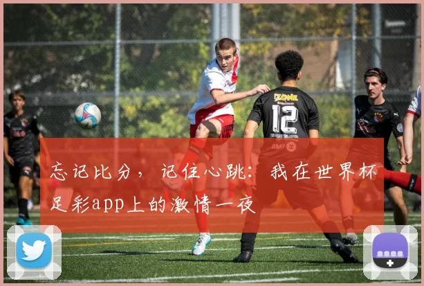 忘记比分,记住心跳:我在世界杯足彩app上的激情一夜