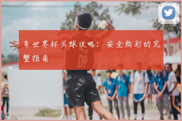 年世界杯买球攻略:安全购彩的完整指南